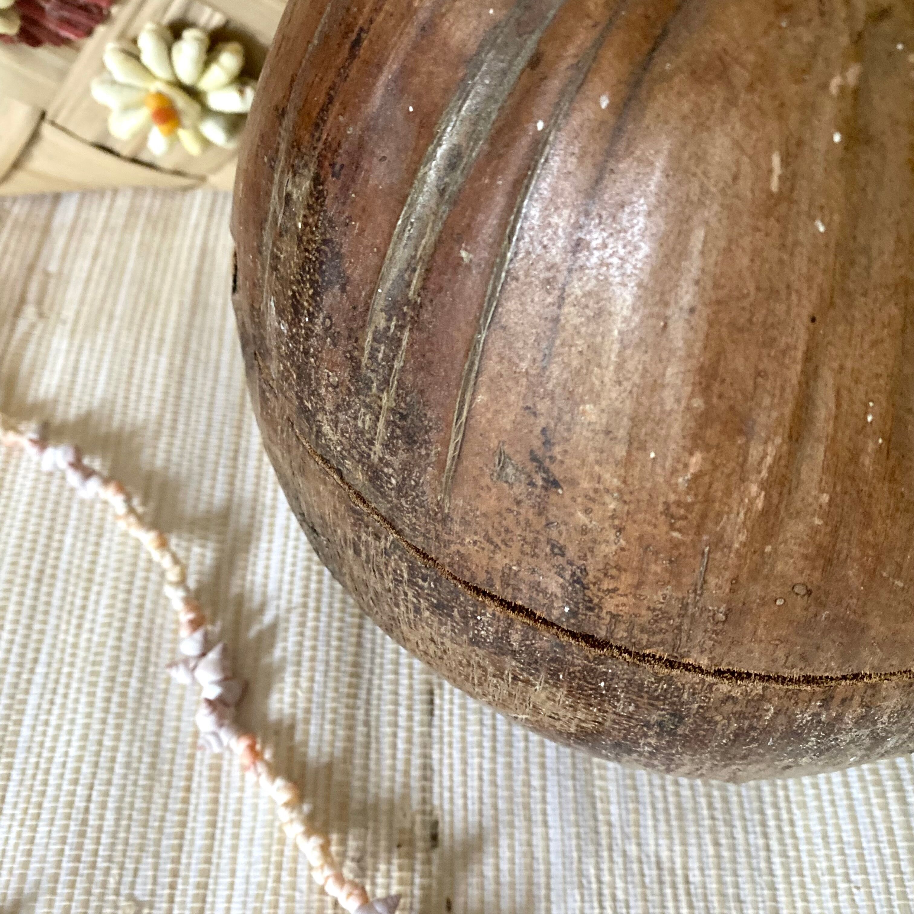Coconut ice bucket