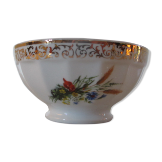 Limoges porcelain bowl