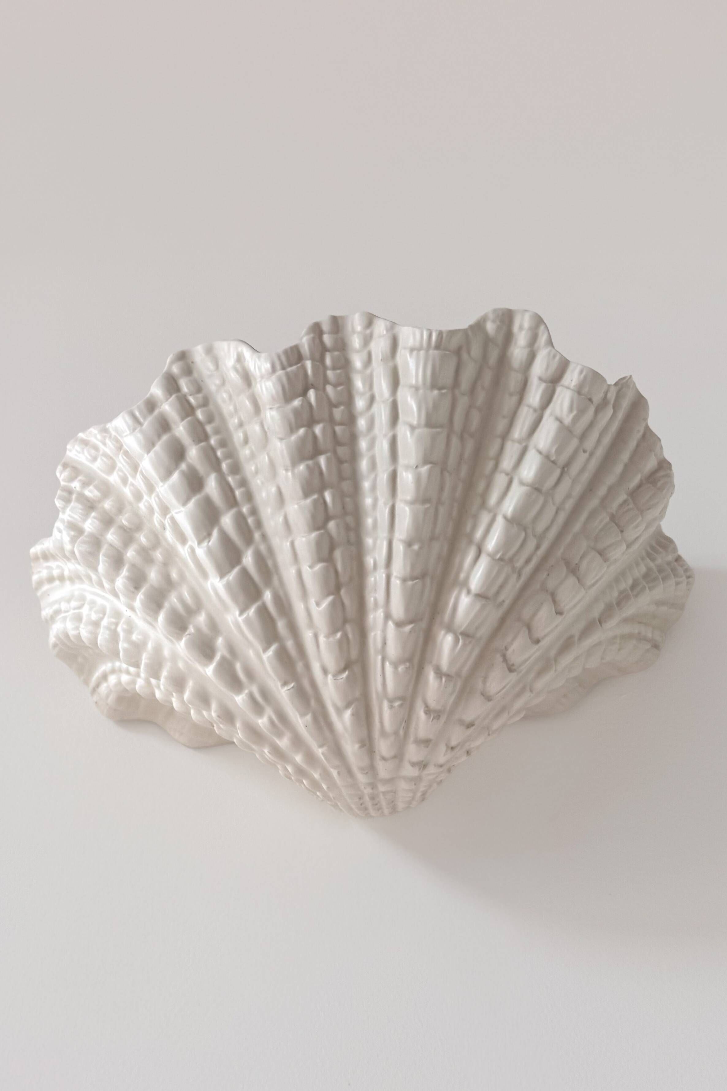 XL vintage shell wall light in plaster, France 1960