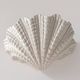 XL vintage shell wall light in plaster, France 1960