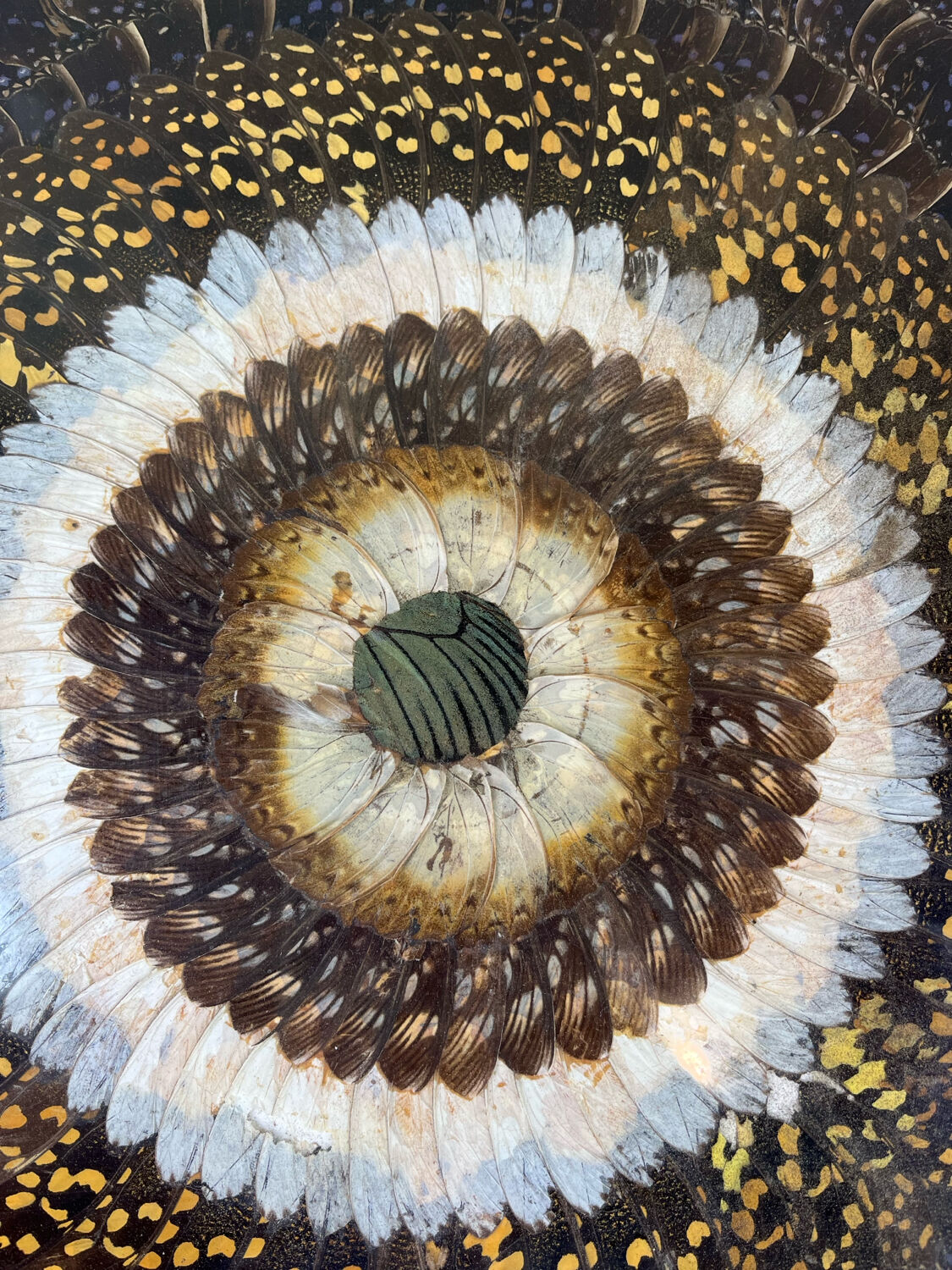 Painting "Butterfly Wings"