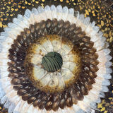 Painting "Butterfly Wings"