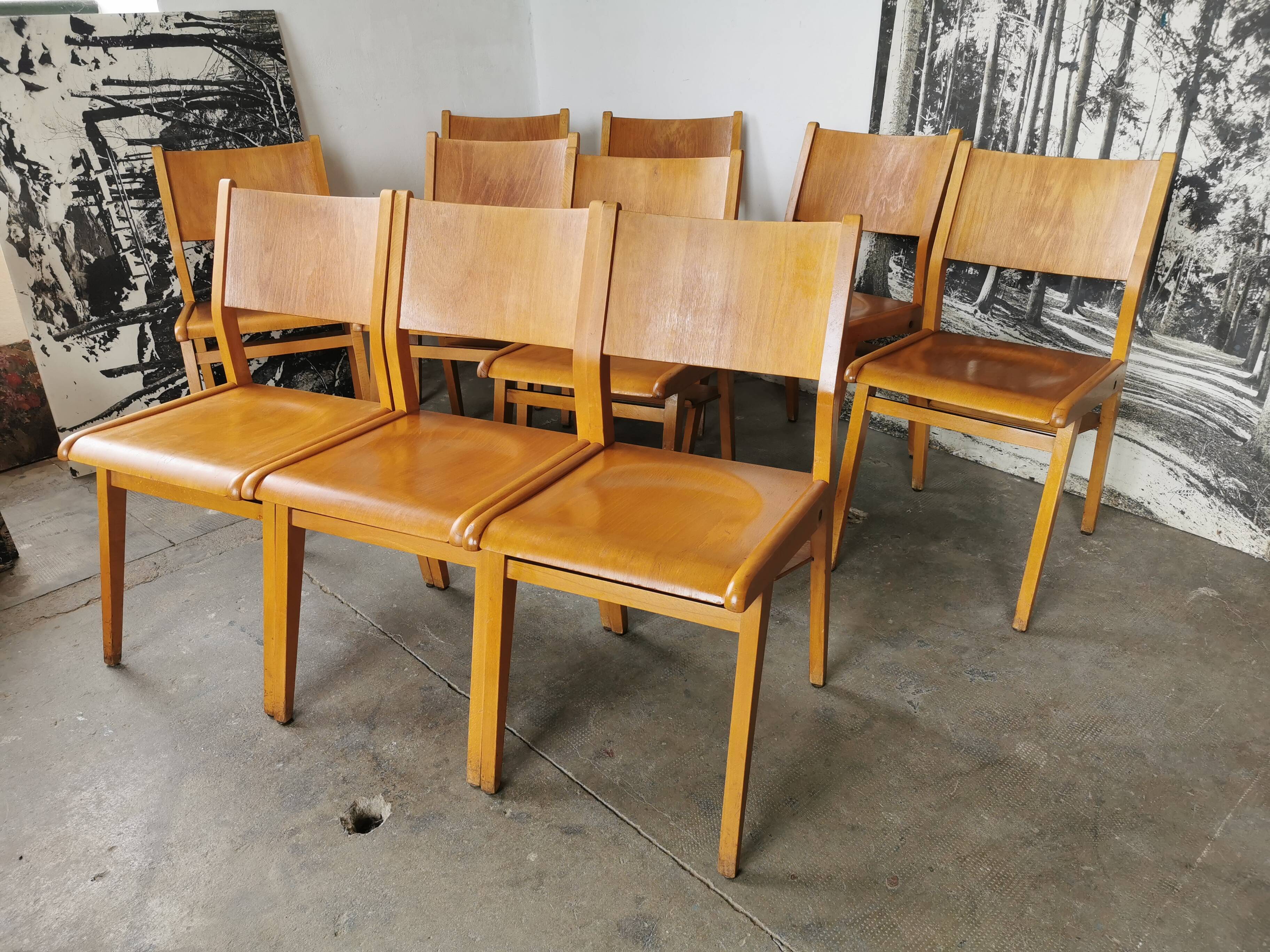Lot de 6 chaises de théâtre en bois blond