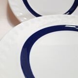 Lot de 5 assiettes à dessert 19,6cm bleues et blanches