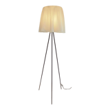 rosy angelis floor lamp by Philippe Starck