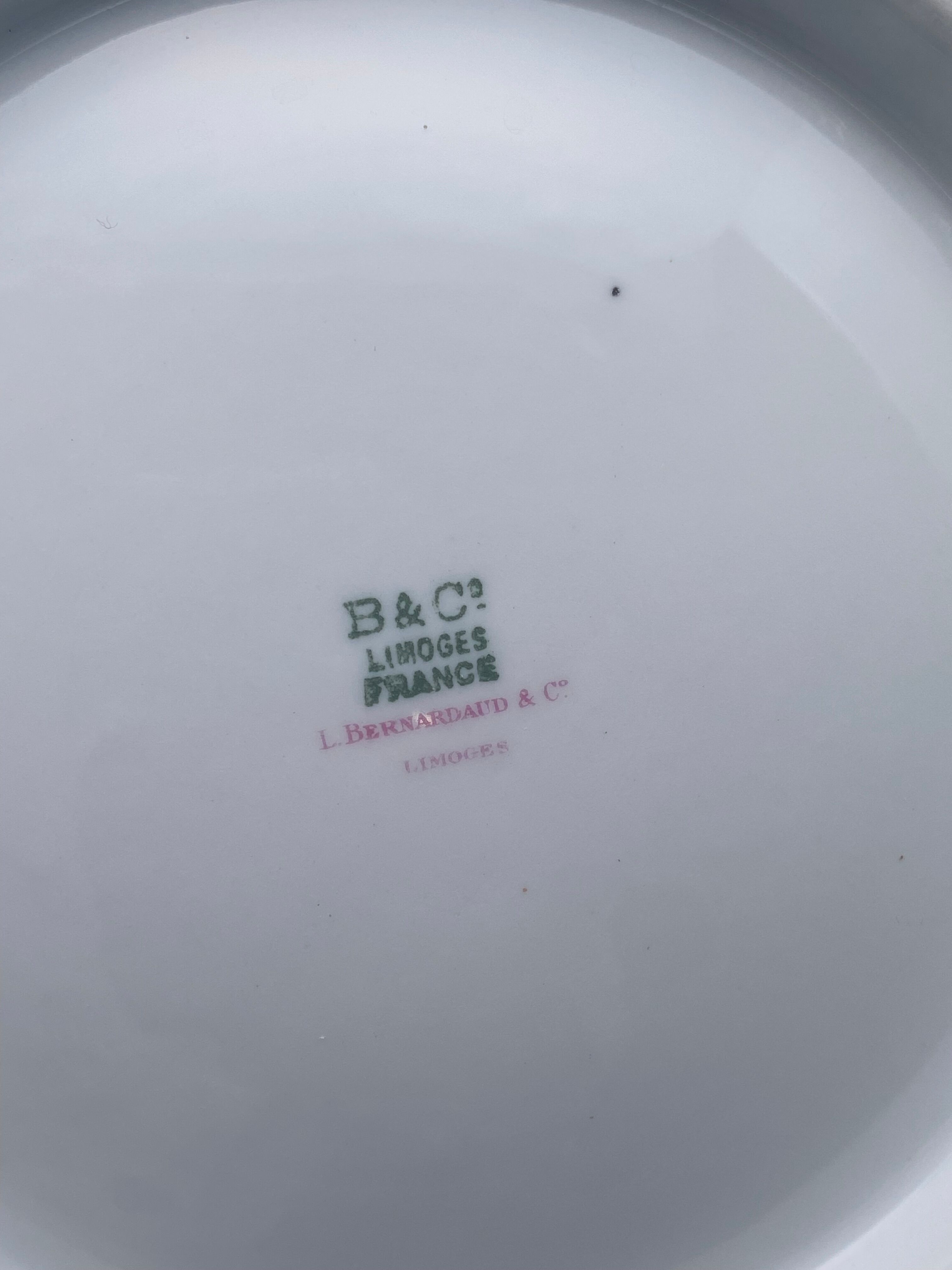 Limoges porcelain salad bowl collab Bernardaud