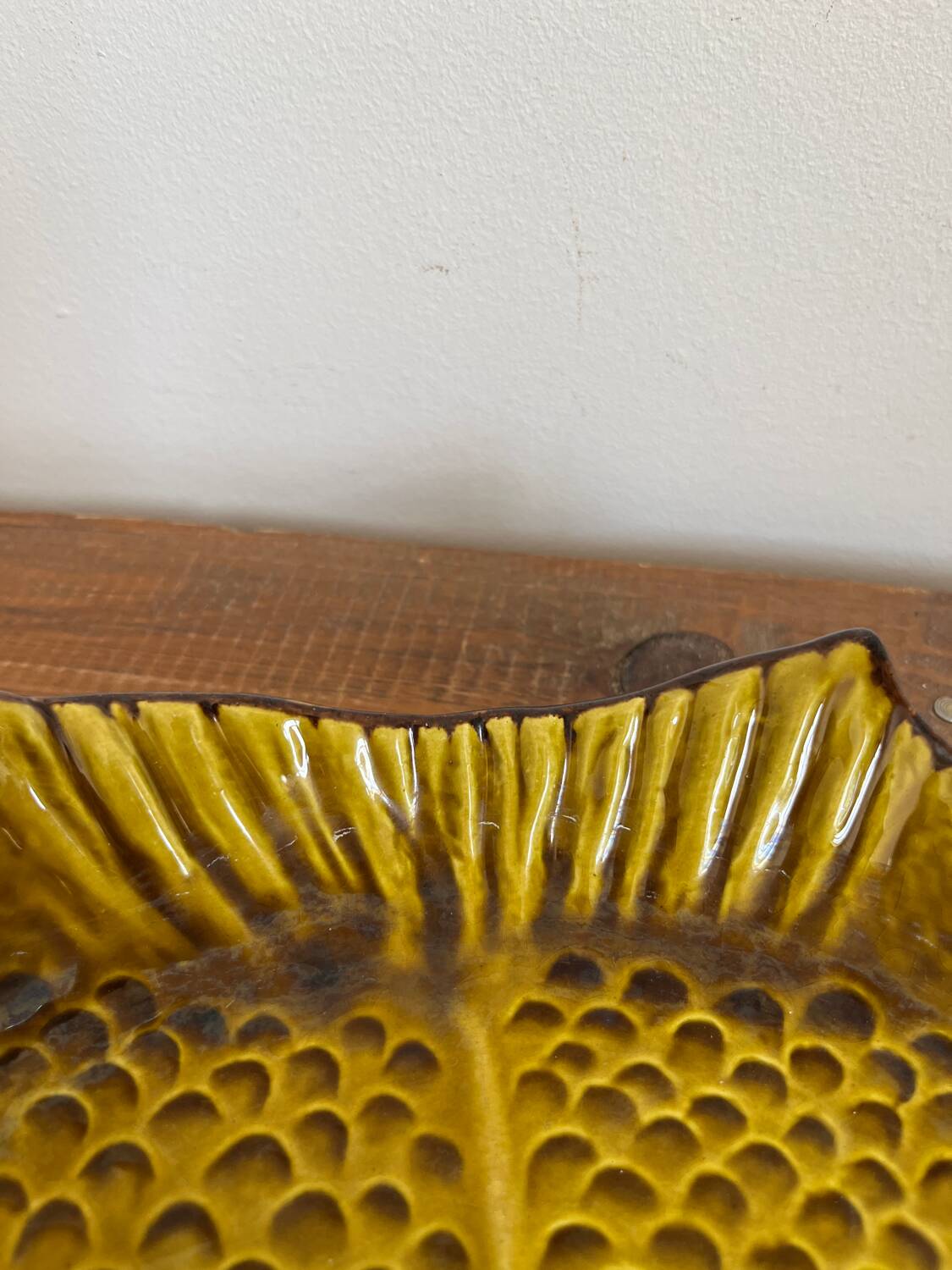 Deep plate fish