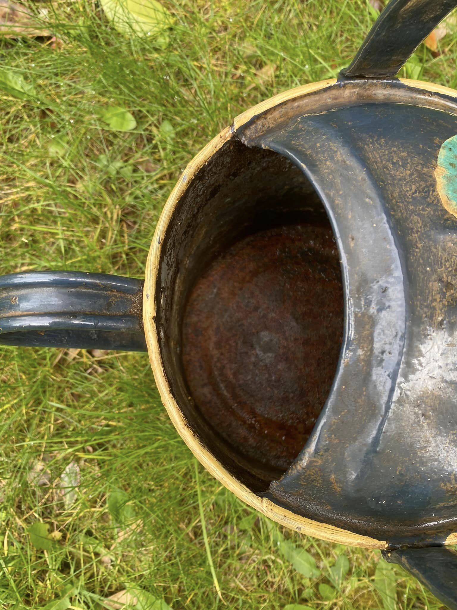 Very decorative metal watering can with “Pensées” decorations