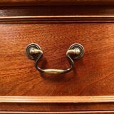 Classic English Mahogany Library Cabinet