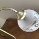 Swan neck lamp