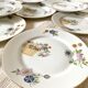 12 Assiettes à dessert en porcelaine de Limoges