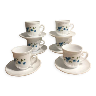 6 cups and under cups Arcopal forget-me-not