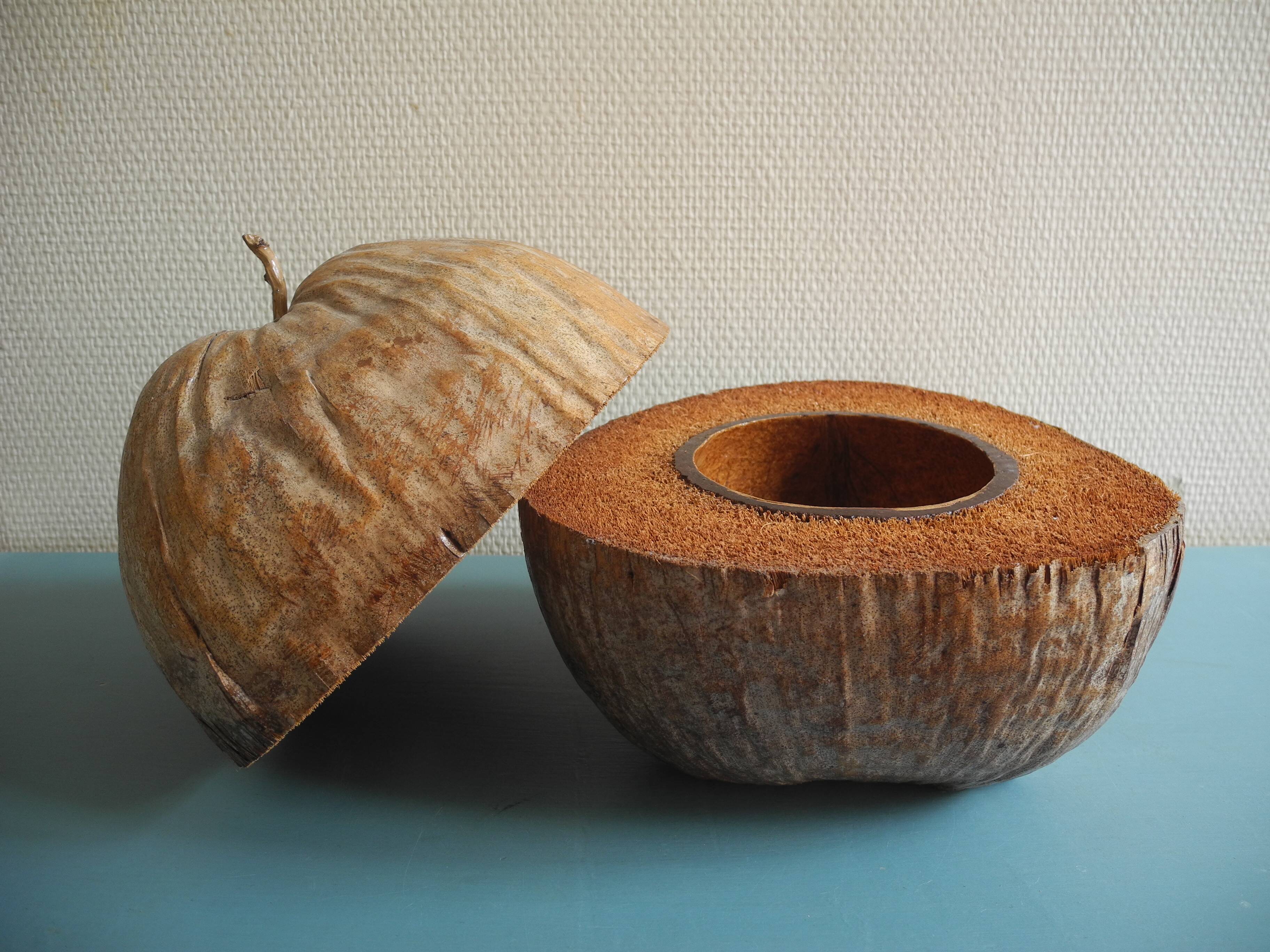 vintage ice bucket coconut Nocodaf Abidjan 70s