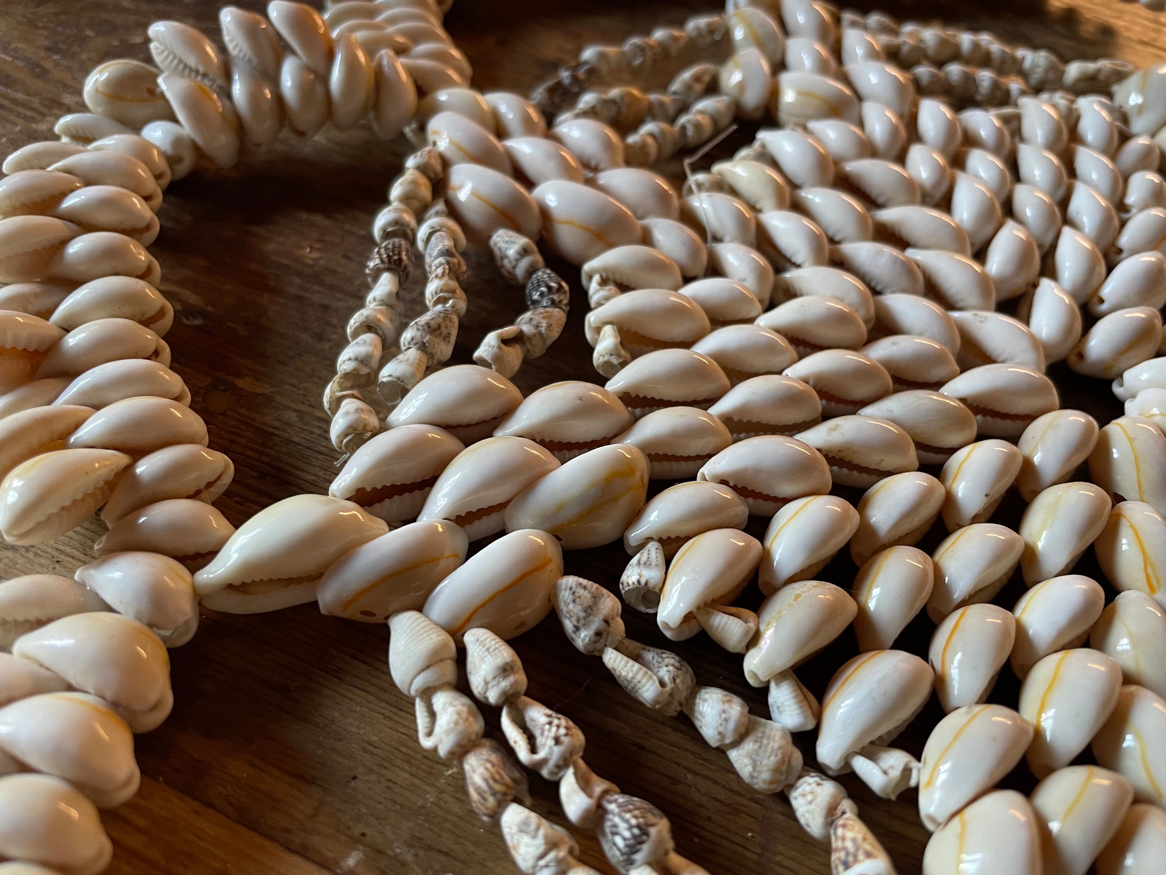 Vintage shell bottom