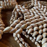 Vintage shell bottom