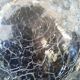 Imposing cracked glass mortar