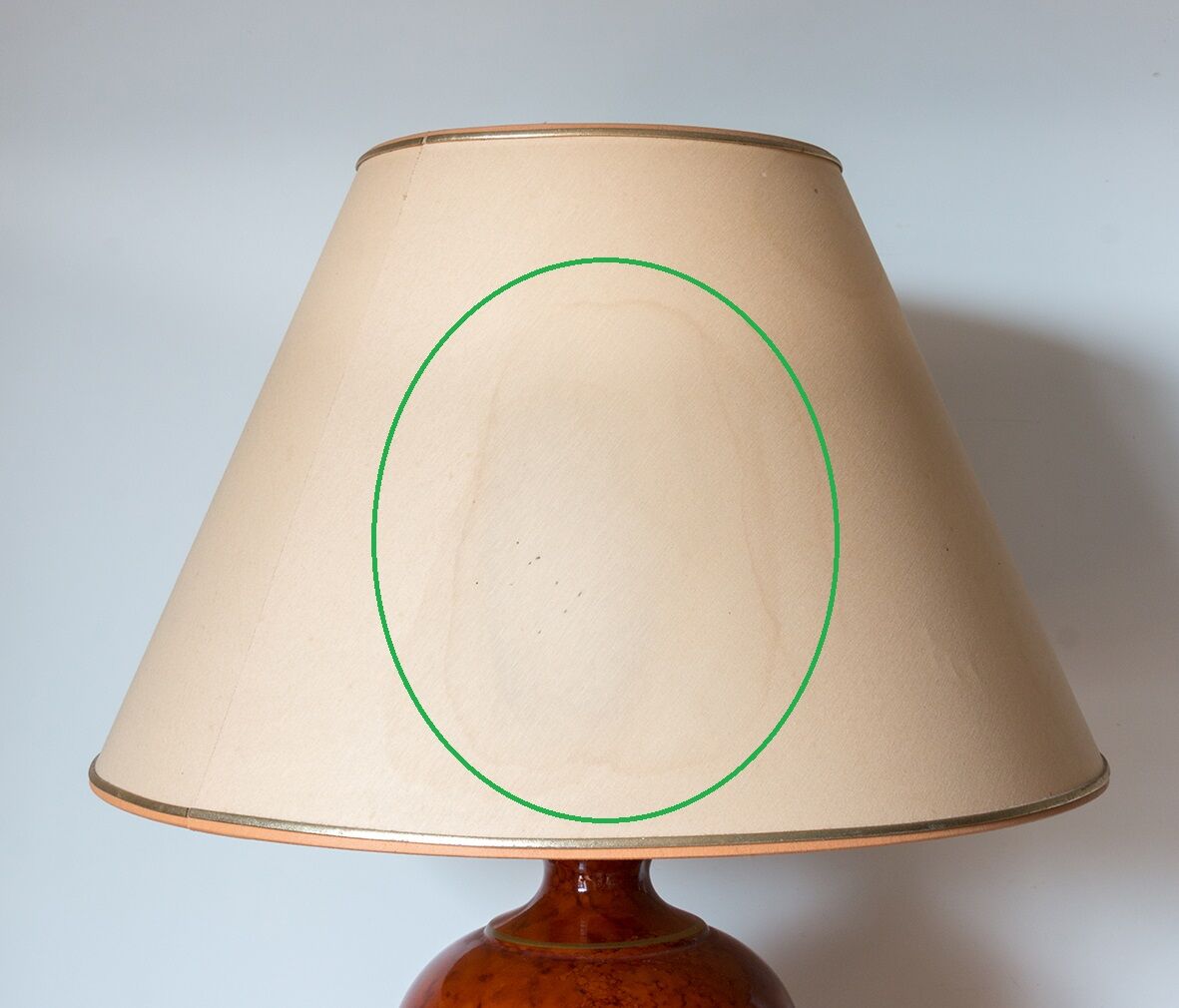 Coral lamp