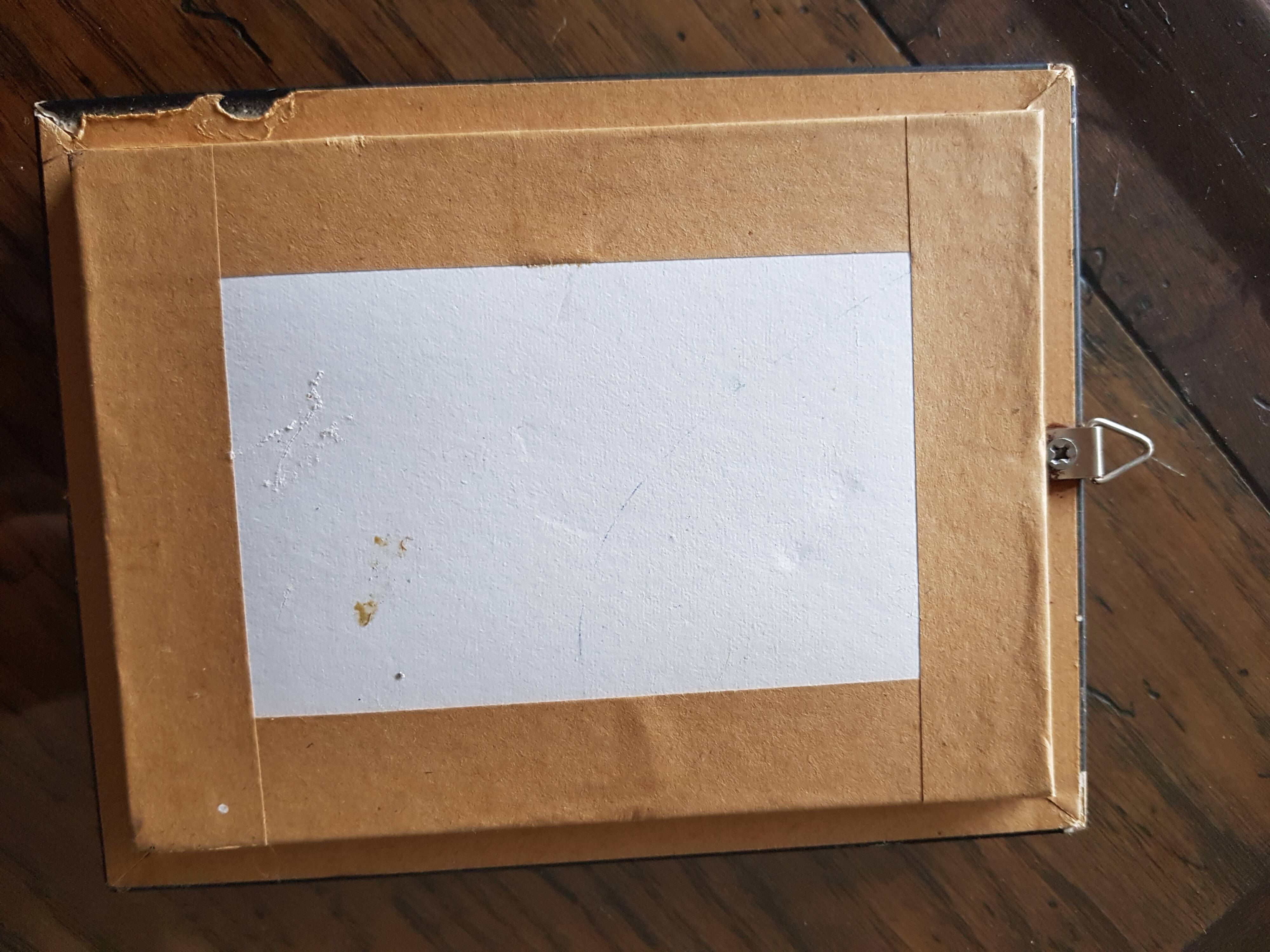 Framed naturalized butterflies