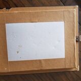 Framed naturalized butterflies