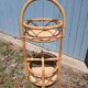 Vintage rattan bottle holder/server