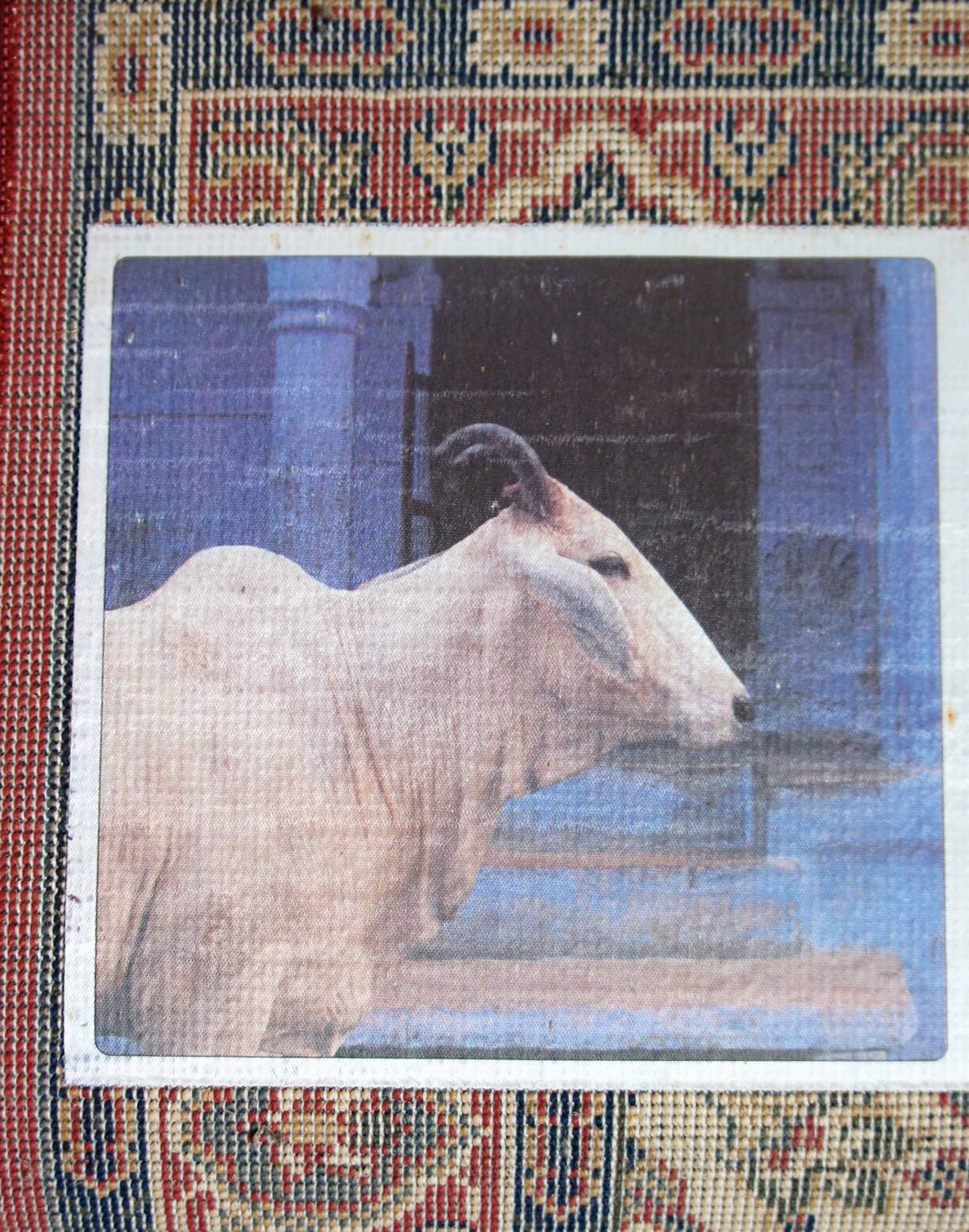 Vintage Indian synthetic wool rug