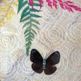 Rattan and butterfly tray in taxyderma 60s-70s