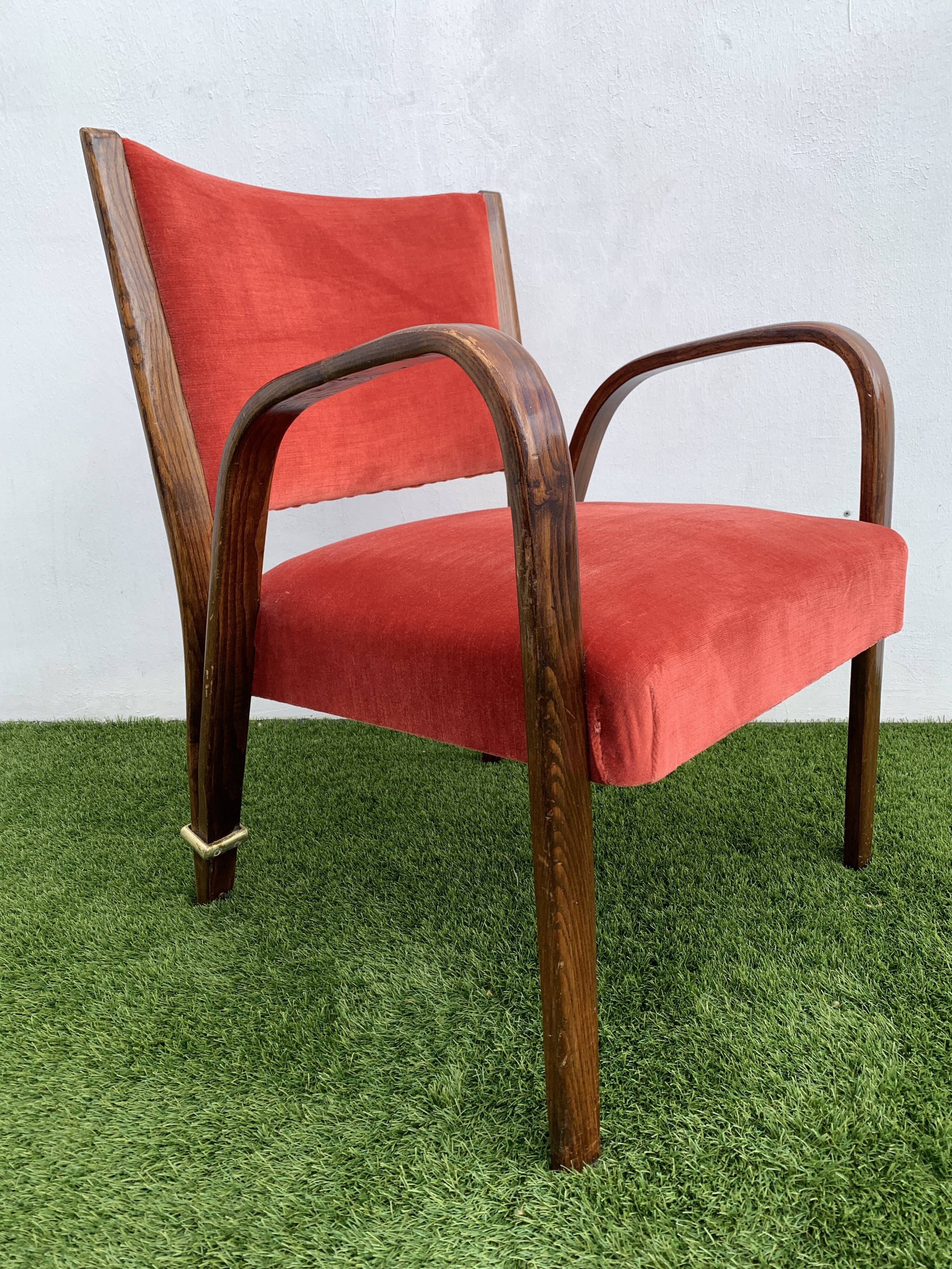 Hugues Steiner armchair, bow-wood model, curved wood and velvet, 1950
