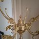 Golden parrot coat rack