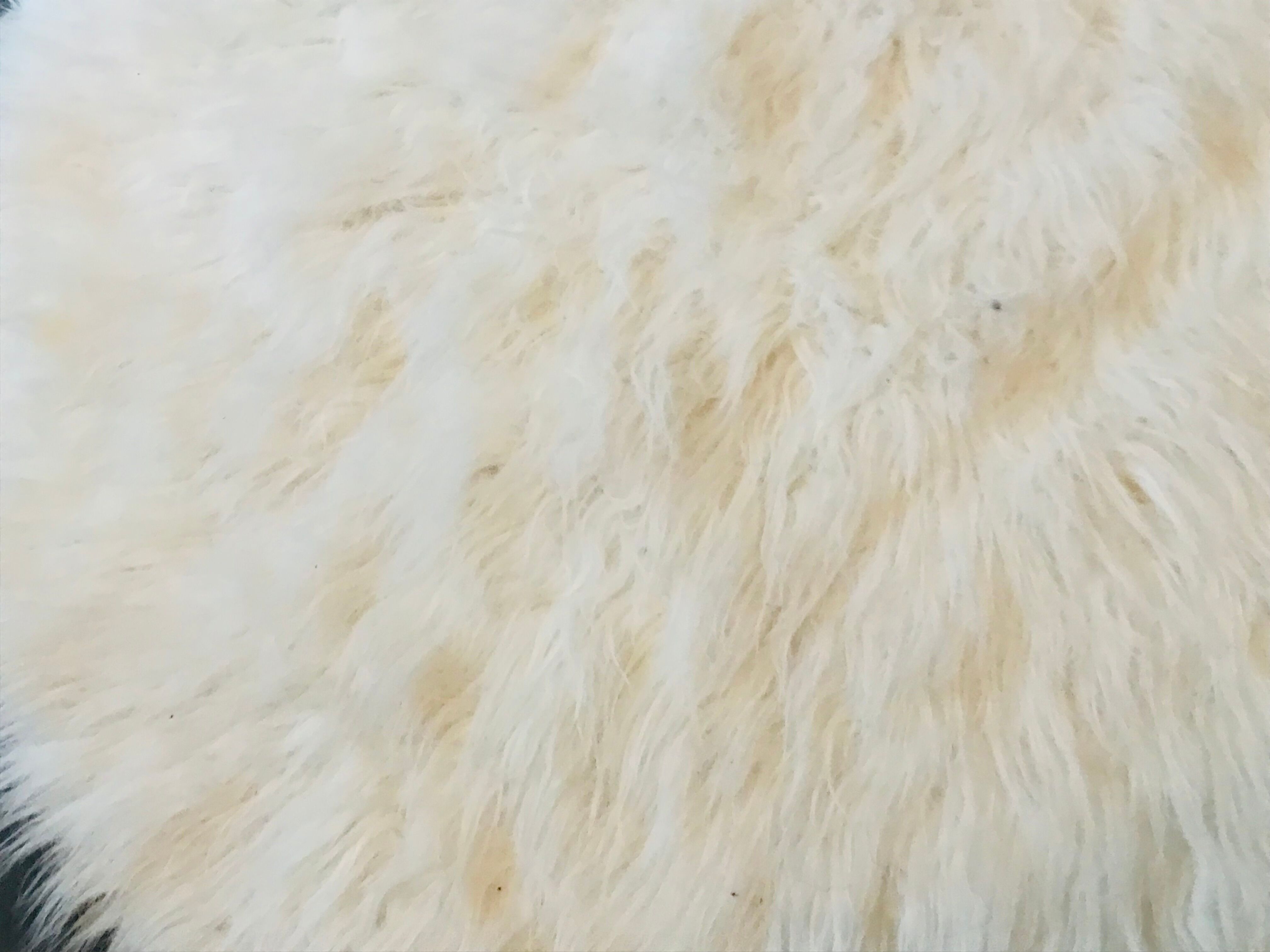 White fur carpet