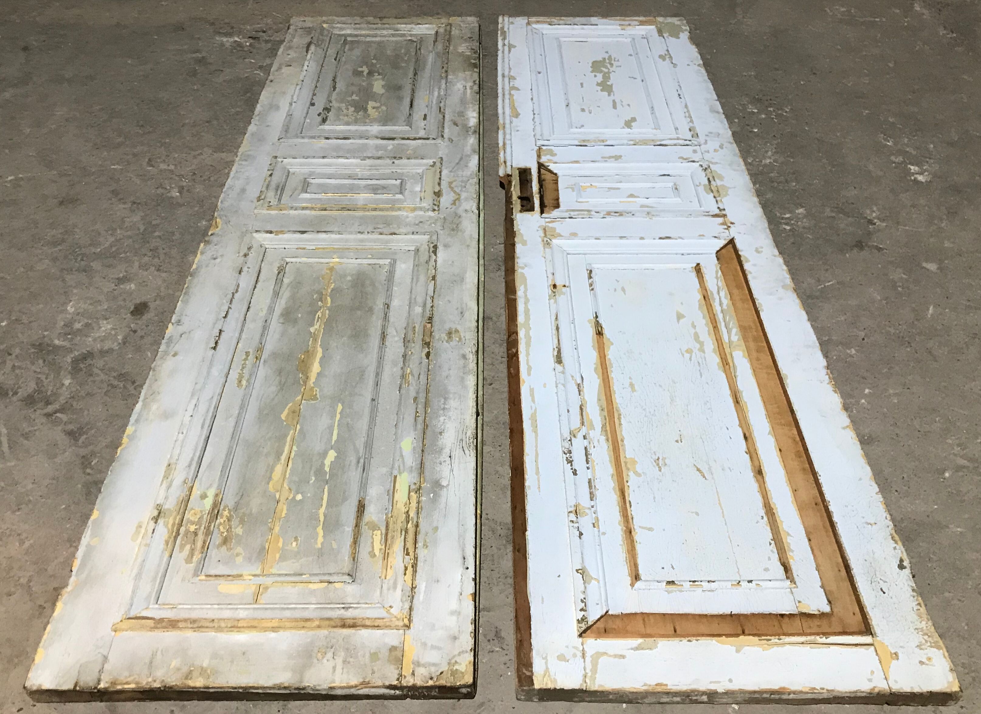 Nineteenth century door pair