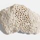 Sculptural White Coral Fossil, Organic Modern Decor from South Asia