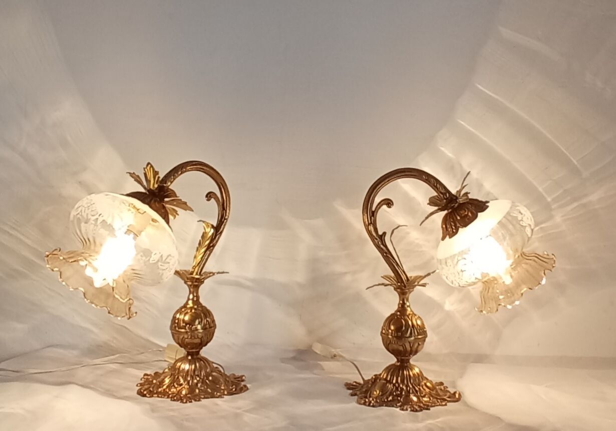 Pair of bronze gooseneck lamps