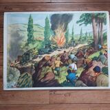 Rossignol / montmorillon educational poster