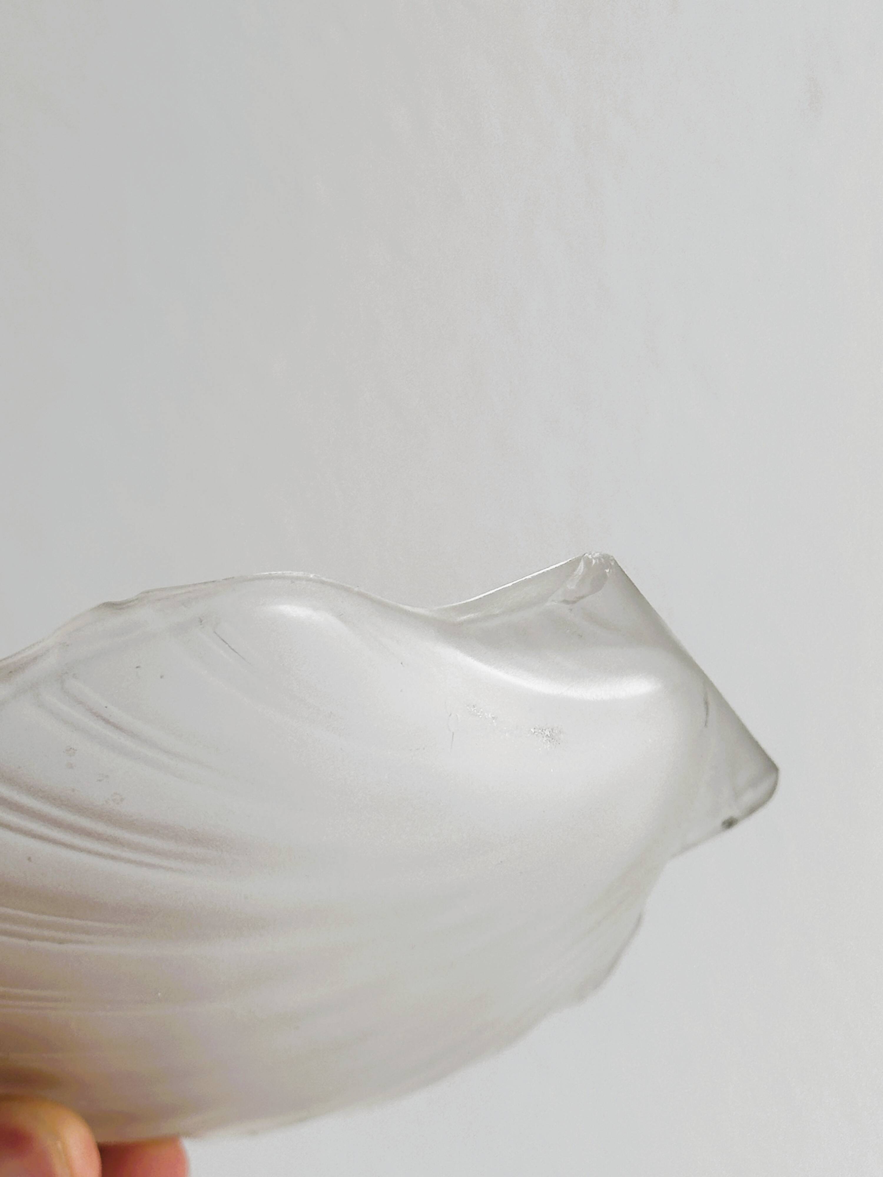 shell box in silver metal and worked glass