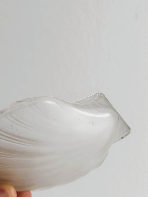 boîte coquillage en métal argenté et verre travaillé