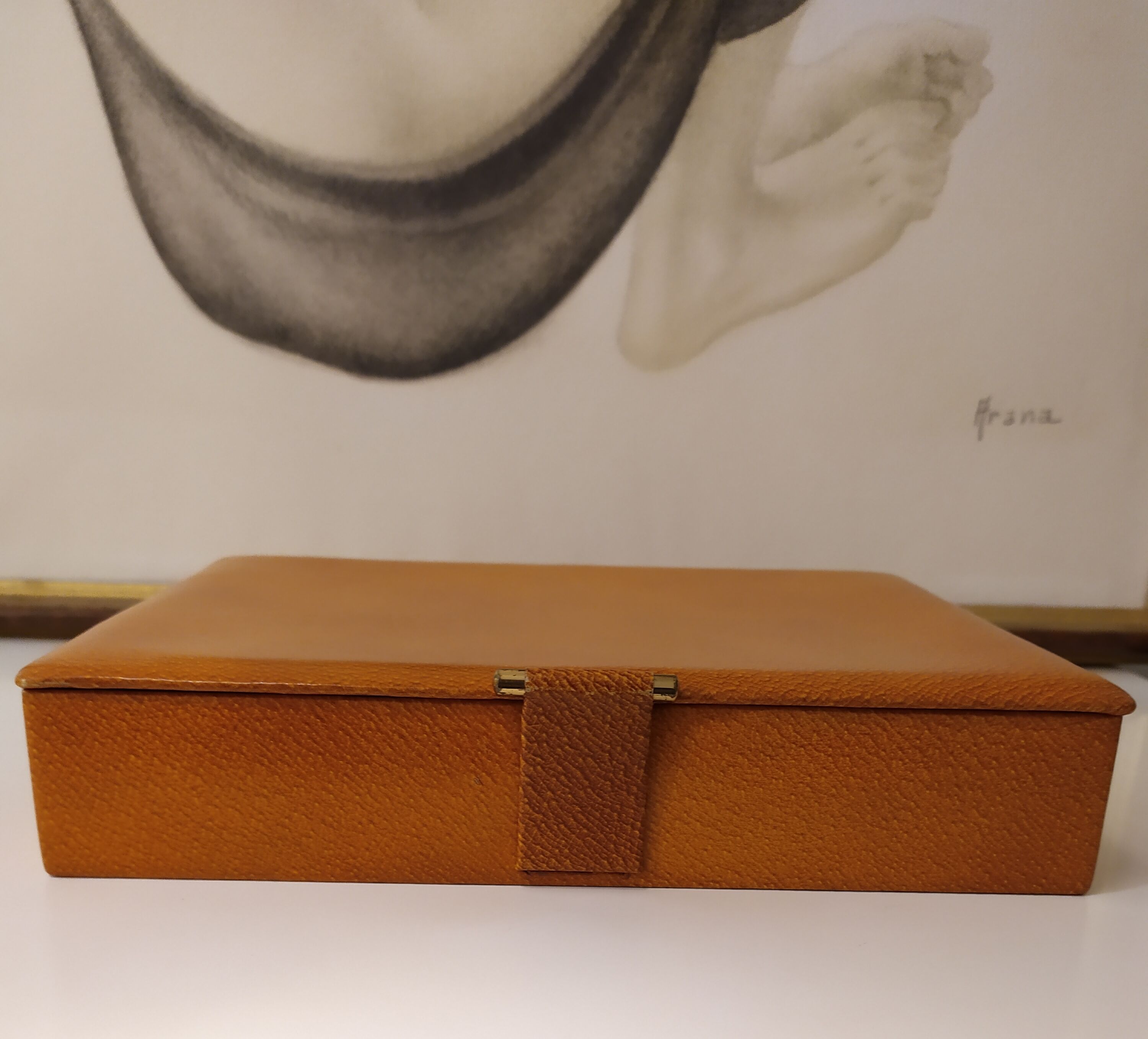 Antique leather box the tanner