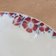 + Hollow dish Céranord Saint Amand model Eglantines +