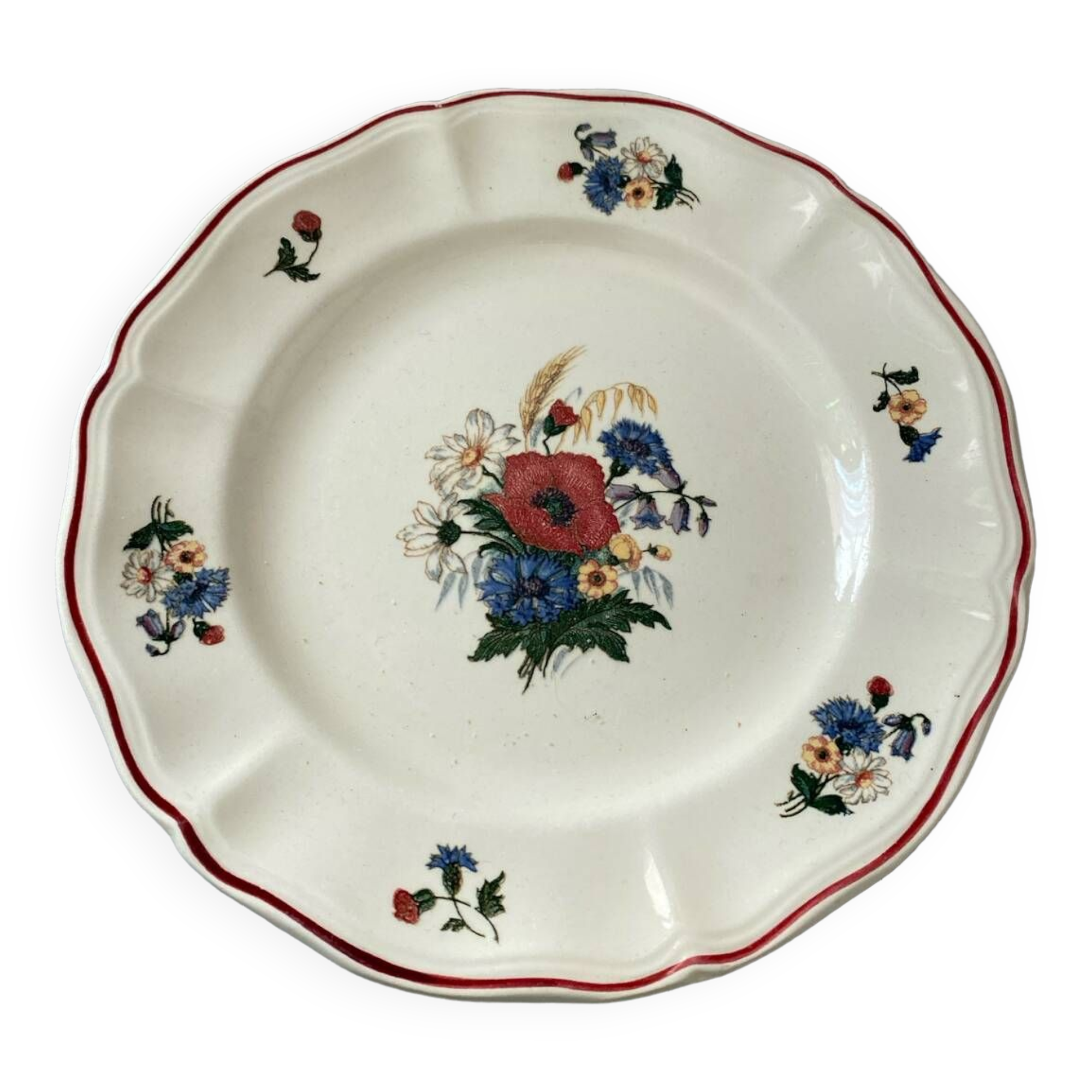 1 plate of sarguemines agreste