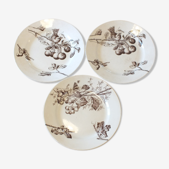 3 plates with hors d'oeuvre in Terre de Fer HB Choisy bird decoration