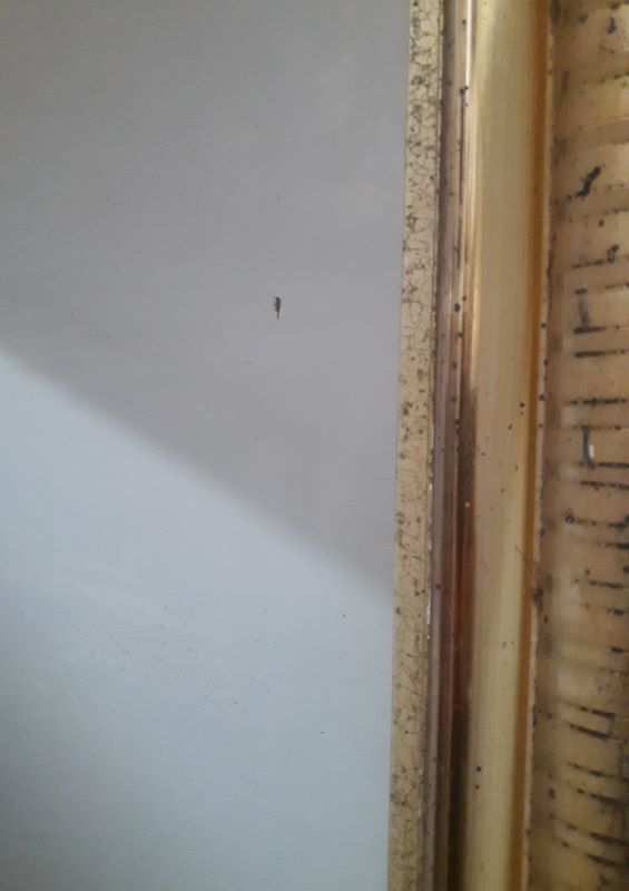 Golden Louis Philippe mirror H122xW84cm with gilded motifs.