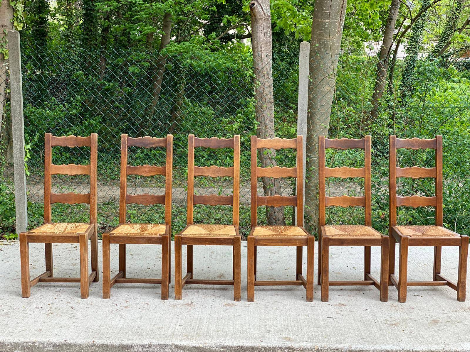 6 solid oak and straw chairs with high backs