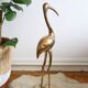 Great brass heron