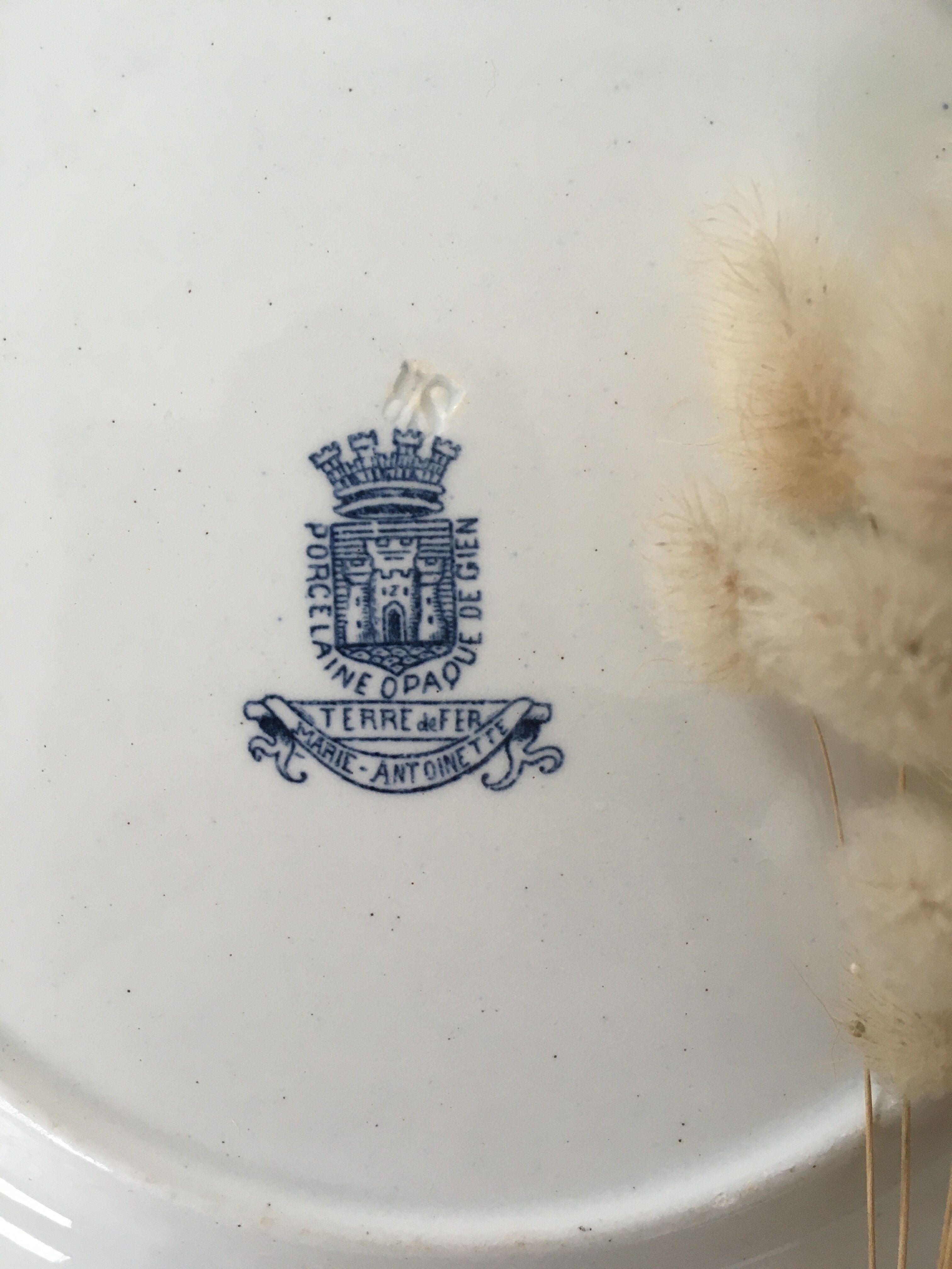 Lot 5 mismatched iron earth flat plates