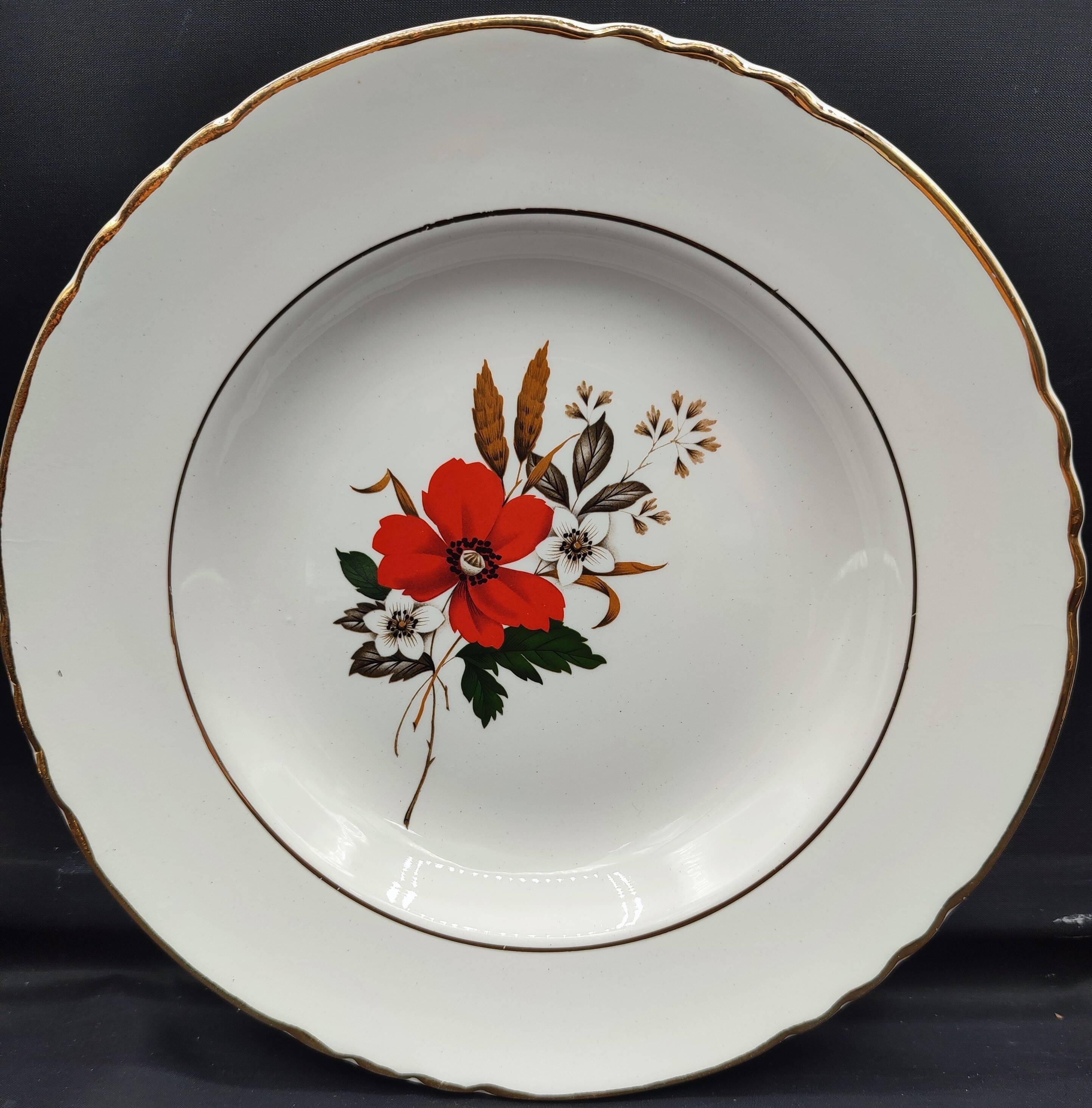 Set of 8 plates + 1 vintage oval dish Moulin des Loups Champêtre red