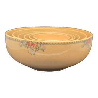 Family of salad bowls