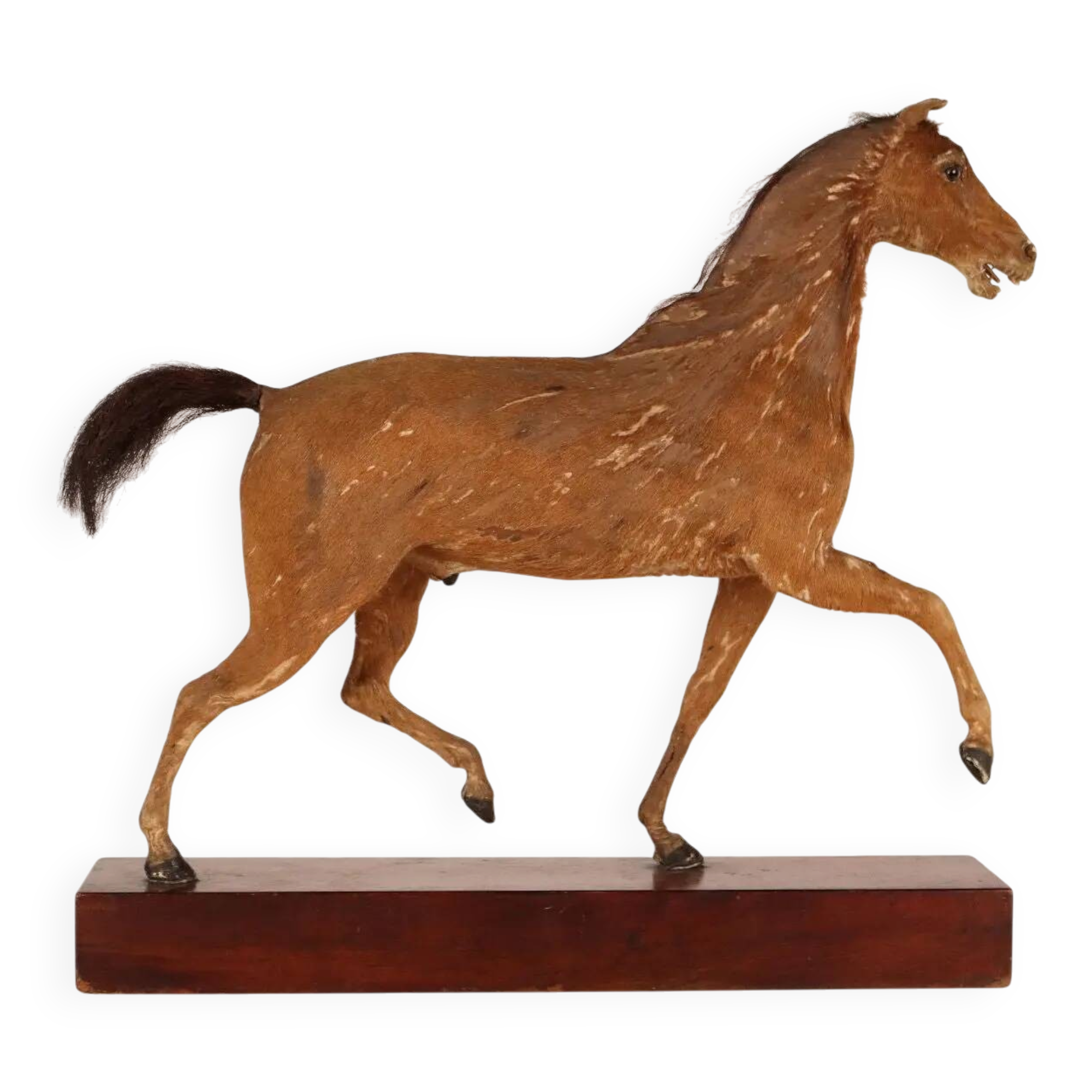 Horse sculpture by H. Fratin in wood, France, circa 1818.