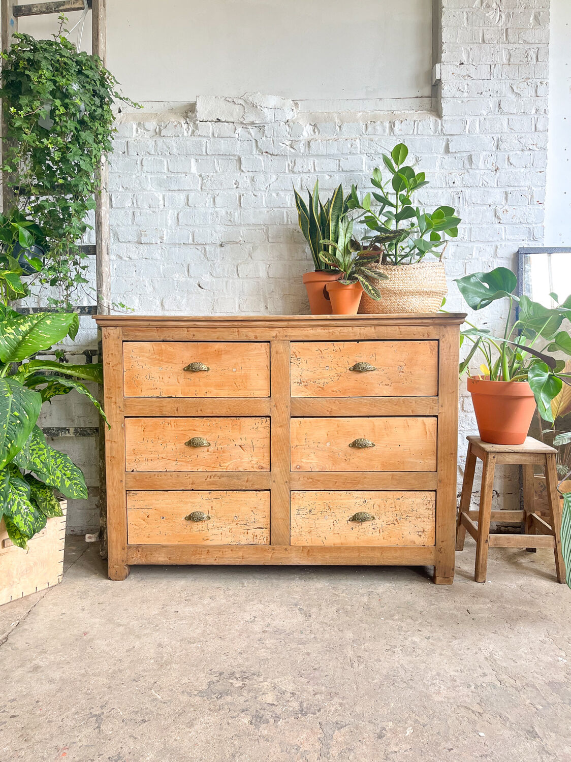 Old haberdashery furniture
