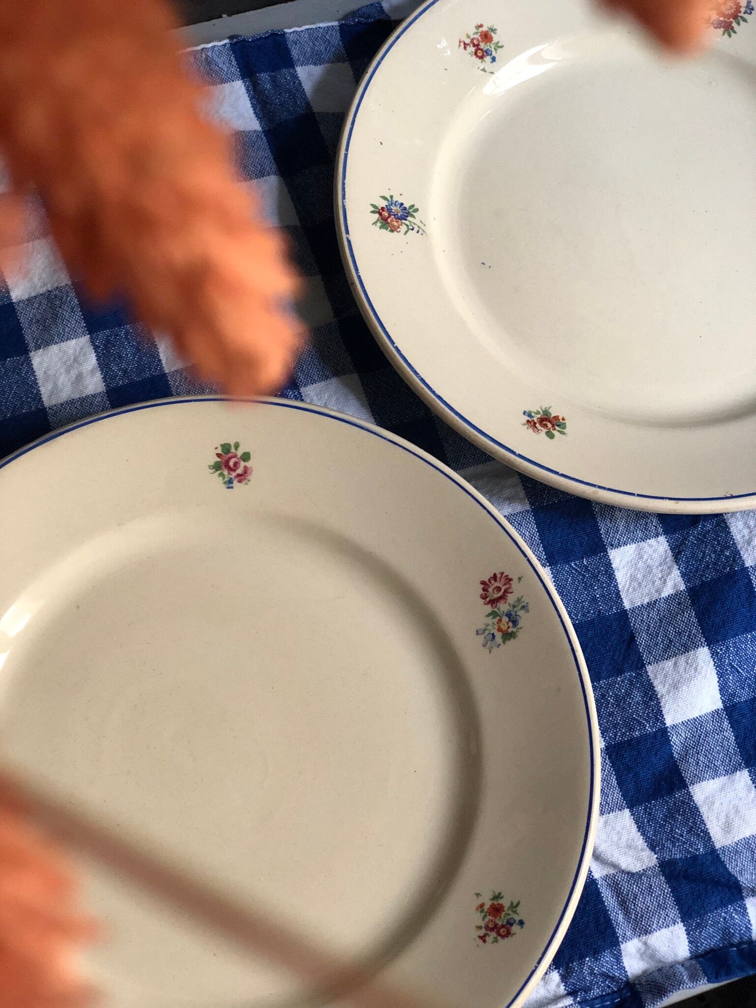 Badonviller Porecelaine Dessert Plates