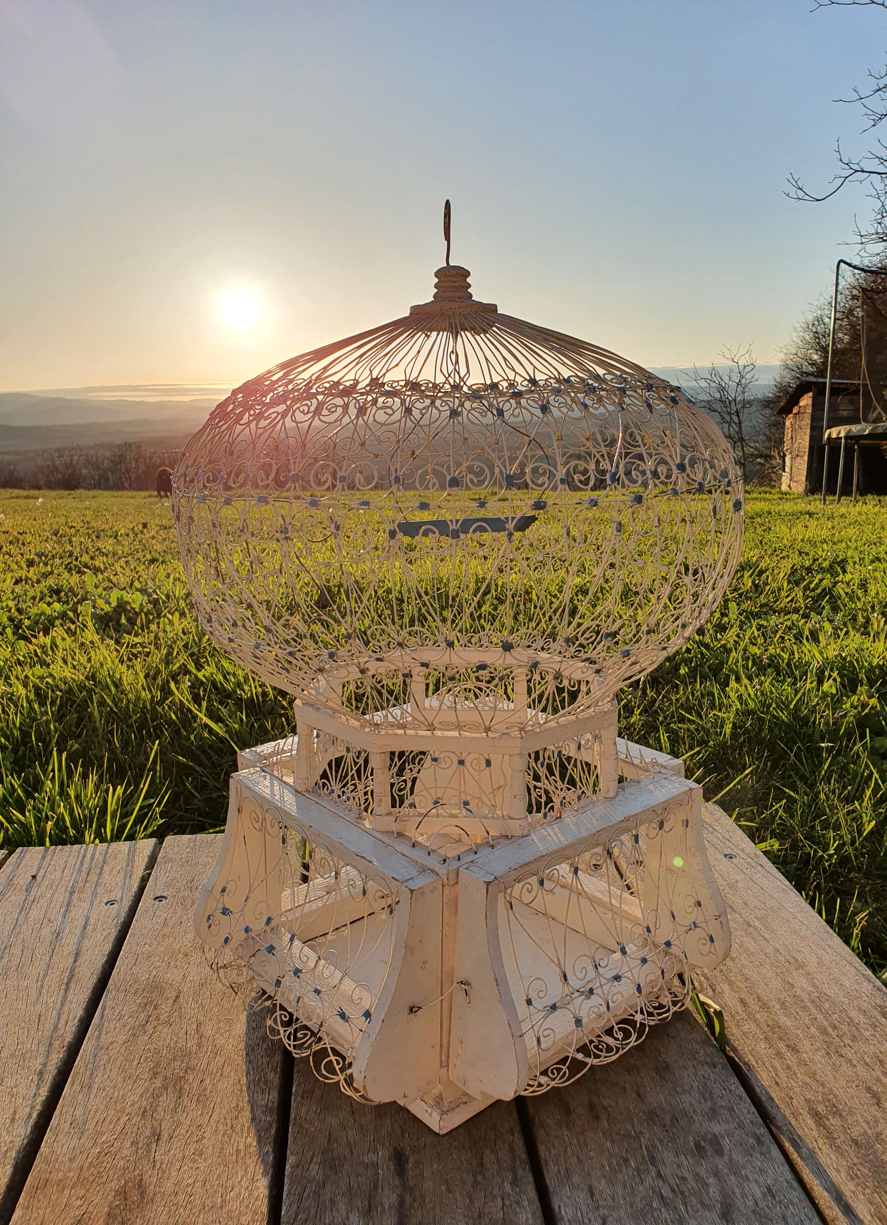 Orientalist bird cage