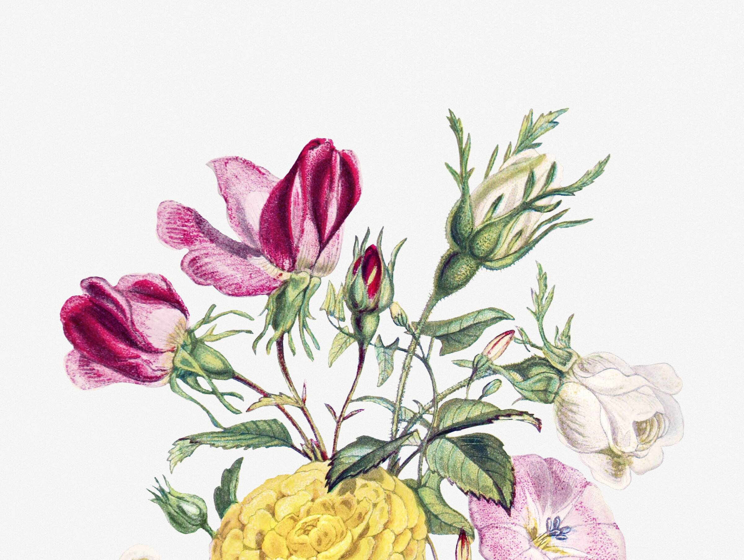 Poster about “Asian Buttercup and Garden Flowers”